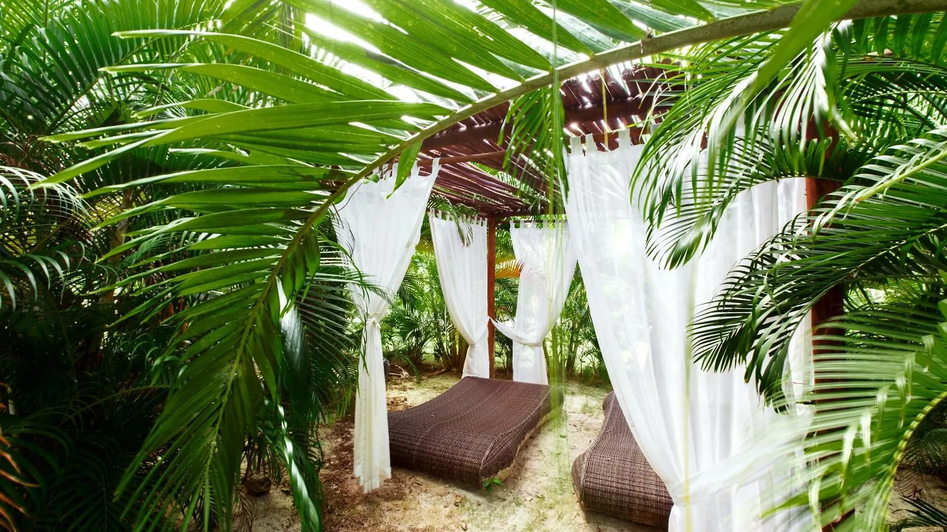 Ducassi Suites Rooftop Pool - Beach Club And Spa Punta Cana